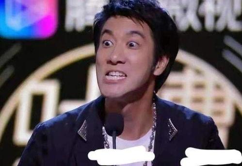 吃瓜网红王力宏简介视频,吃瓜网红背后的音乐传奇 第3张 吃瓜网红王力宏简介视频,吃瓜网红背后的音乐传奇 第3张