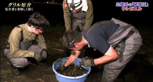 牛哥爆料最新视频,揭秘视频背后的惊人真相! 第1张 牛哥爆料最新视频,揭秘视频背后的惊人真相! 第1张