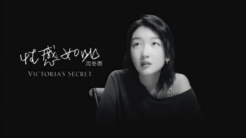 周冬雨爆料视频合集下载,揭秘明星幕后趣事